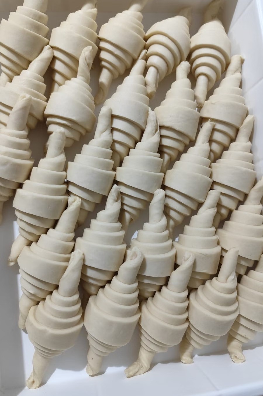 Fileiras de croissants artesanais modelados antes de assar, em foto do e-book